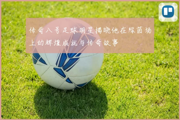传奇八号足球明星揭晓他在绿茵场上的辉煌成就与传奇故事