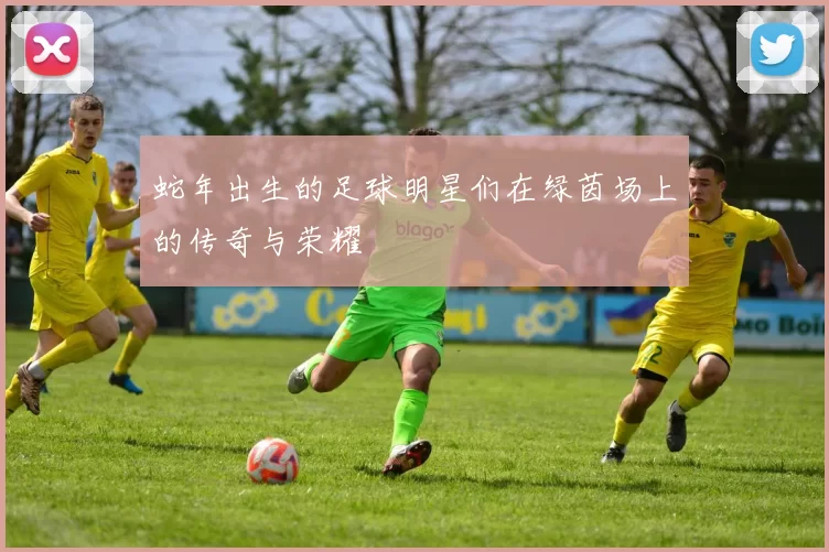 蛇年出生的足球明星们在绿茵场上的传奇与荣耀