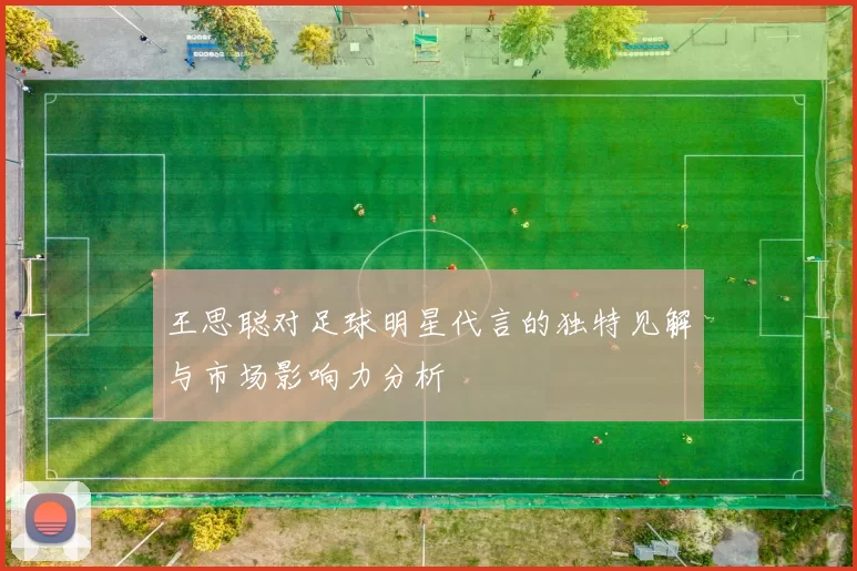 王思聪对足球明星代言的独特见解与市场影响力分析