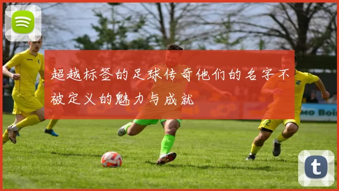 超越标签的足球传奇他们的名字不被定义的魅力与成就