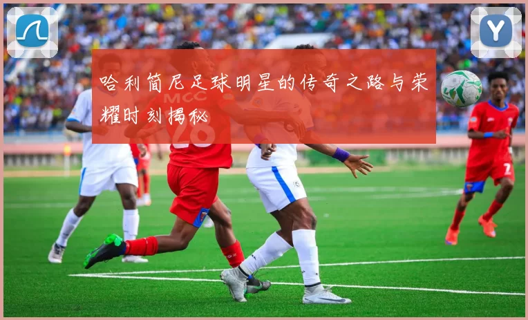 哈利简尼足球明星的传奇之路与荣耀时刻揭秘