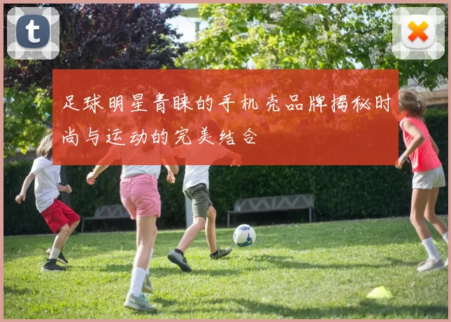 足球明星青睐的手机壳品牌揭秘时尚与运动的完美结合