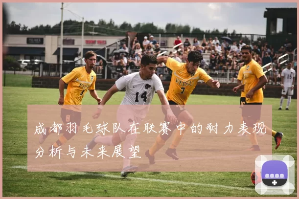 成都羽毛球队在联赛中的耐力表现分析与未来展望