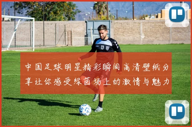 中国足球明星精彩瞬间高清壁纸分享让你感受绿茵场上的激情与魅力