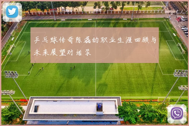 乒乓球传奇陈磊的职业生涯回顾与未来展望对话录