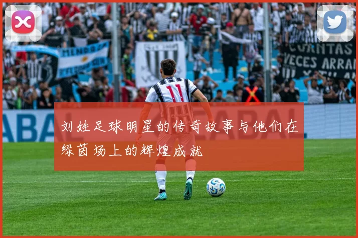 刘姓足球明星的传奇故事与他们在绿茵场上的辉煌成就