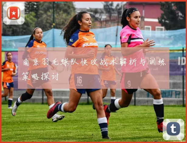 南京羽毛球队快攻战术解析与训练策略探讨