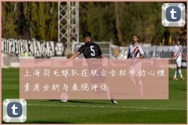 上海羽毛球队在联合会杯中的心理素质分析与表现评估