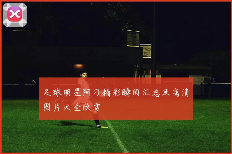 足球明星阿刁精彩瞬间汇总及高清图片大全欣赏