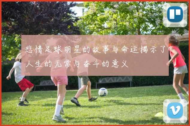 悲情足球明星的故事与命运揭示了人生的无常与奋斗的意义