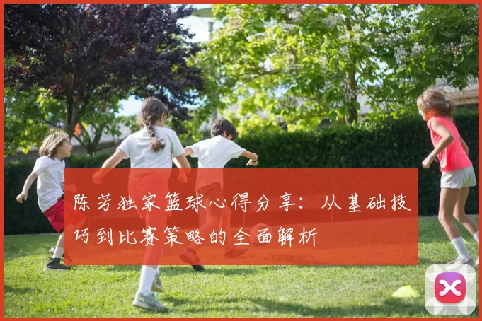陈芳独家篮球心得分享：从基础技巧到比赛策略的全面解析