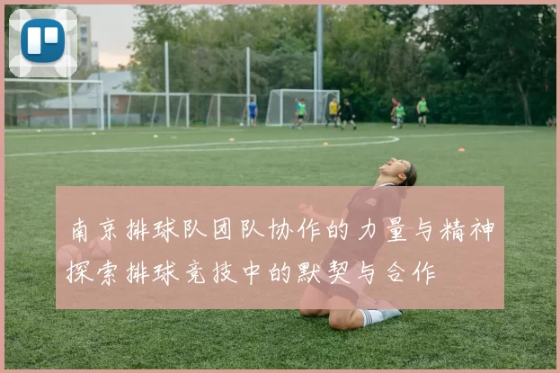 南京排球队团队协作的力量与精神探索排球竞技中的默契与合作