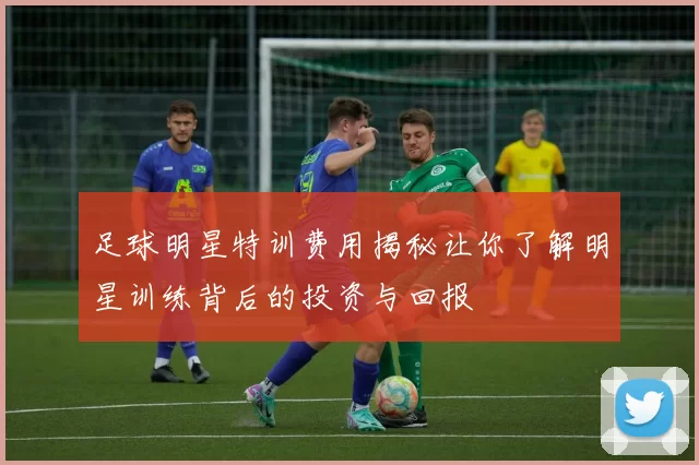 足球明星特训费用揭秘让你了解明星训练背后的投资与回报