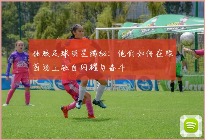 独狼足球明星揭秘：他们如何在绿茵场上独自闪耀与奋斗